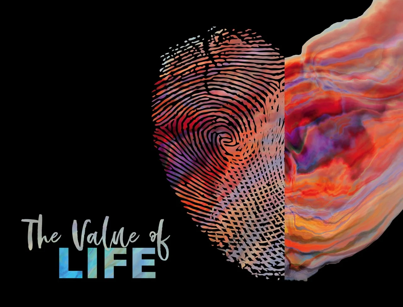 The Value of Life episode artwork