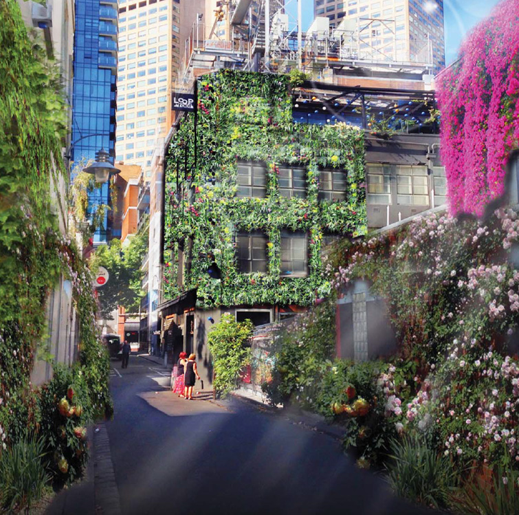 'Green Your Laneway' Meyers Place Proposal