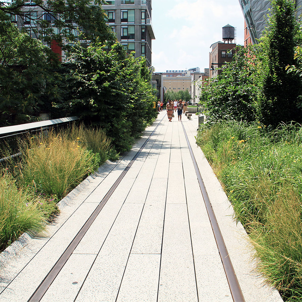 New York High Line.jpg