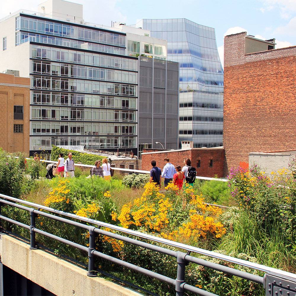 New York High Line2.jpg