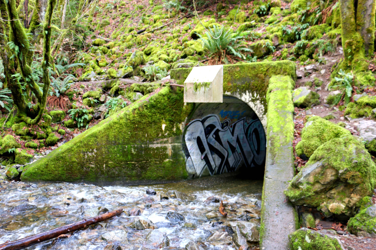 Graffiti Goldstream #3.jpeg