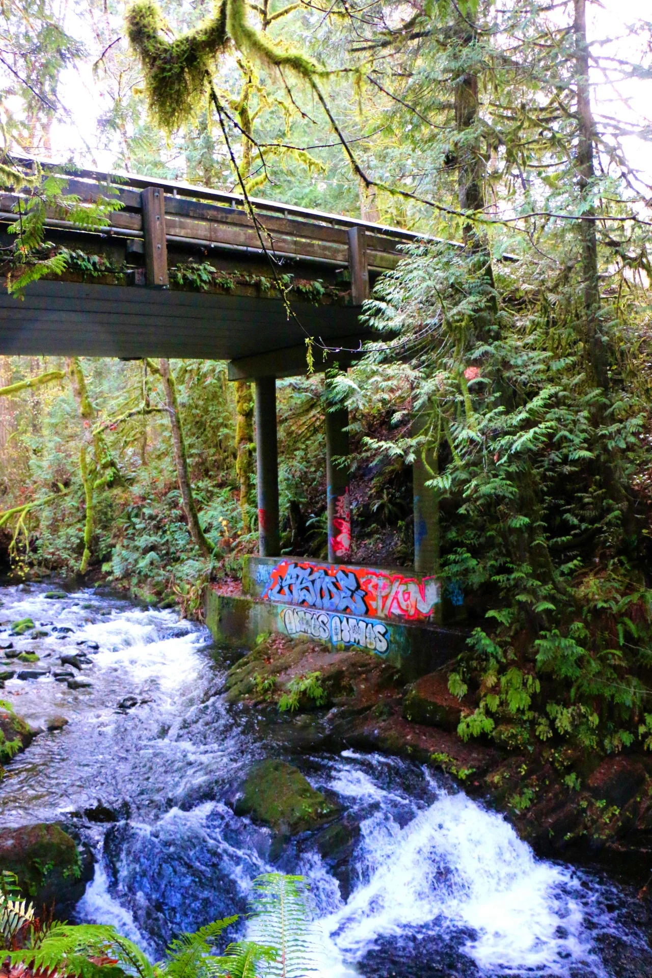 Graffiti near Goldstream.jpeg