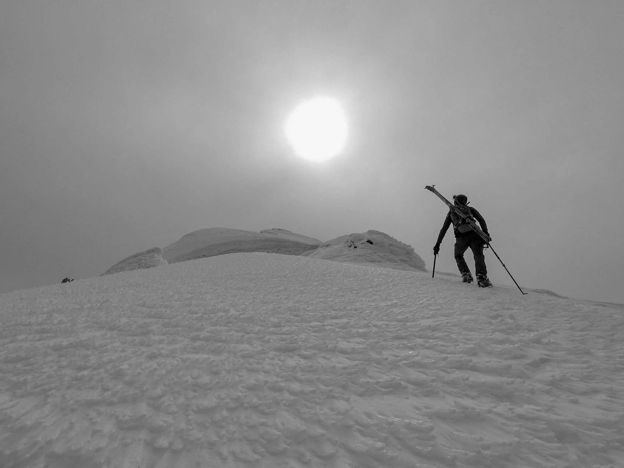 photo Elliot Hohn