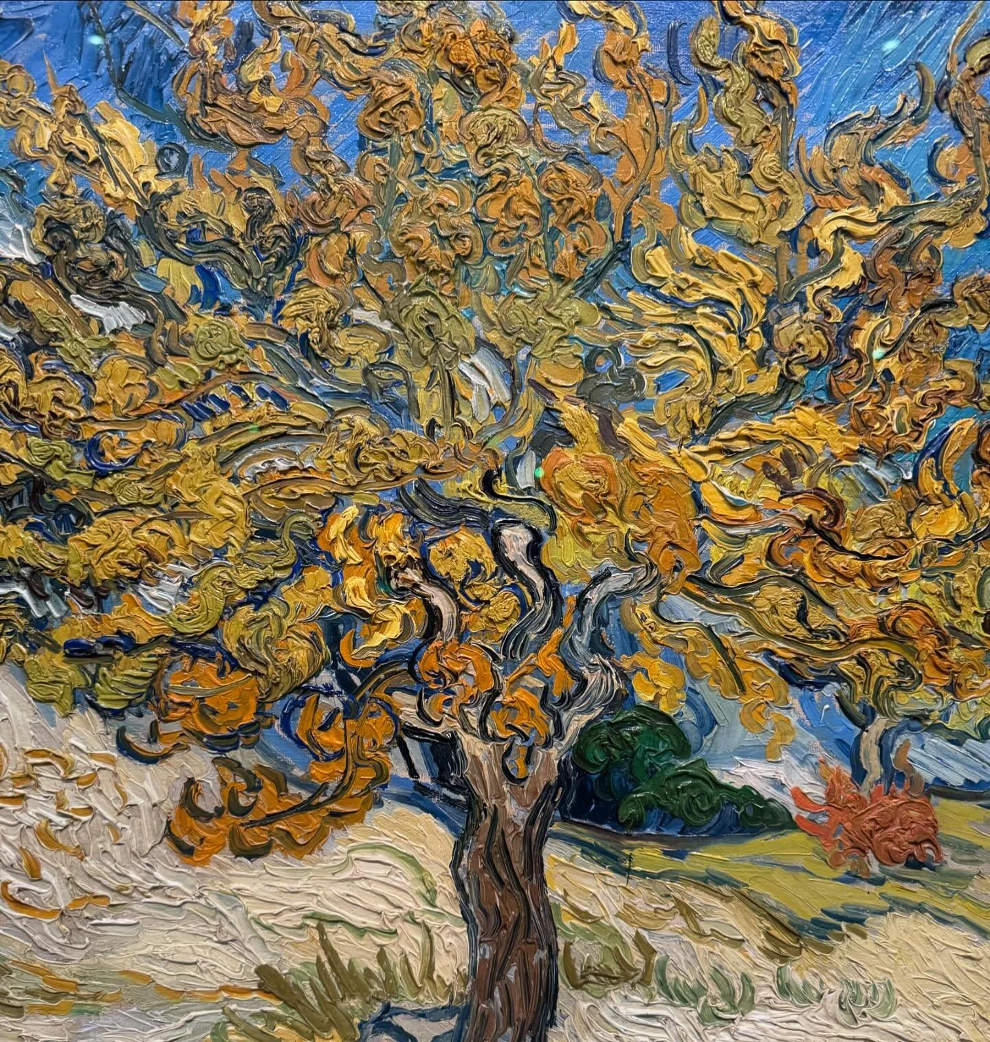 Today seems like a good day for it to be, again, National Vincent Van Gogh Tree Day&hellip;you know, for strength, beauty, and wisdom.

@nortonsimon
@vangoghmuseum 
@treesofla