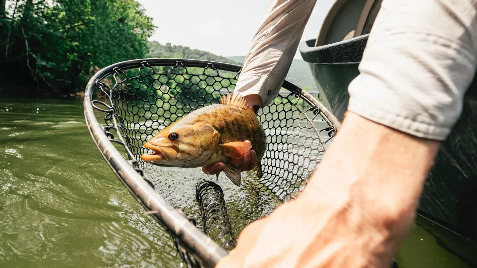 Eagle Rock, VA - August 2026 Wesley Hodges Fly Fishing