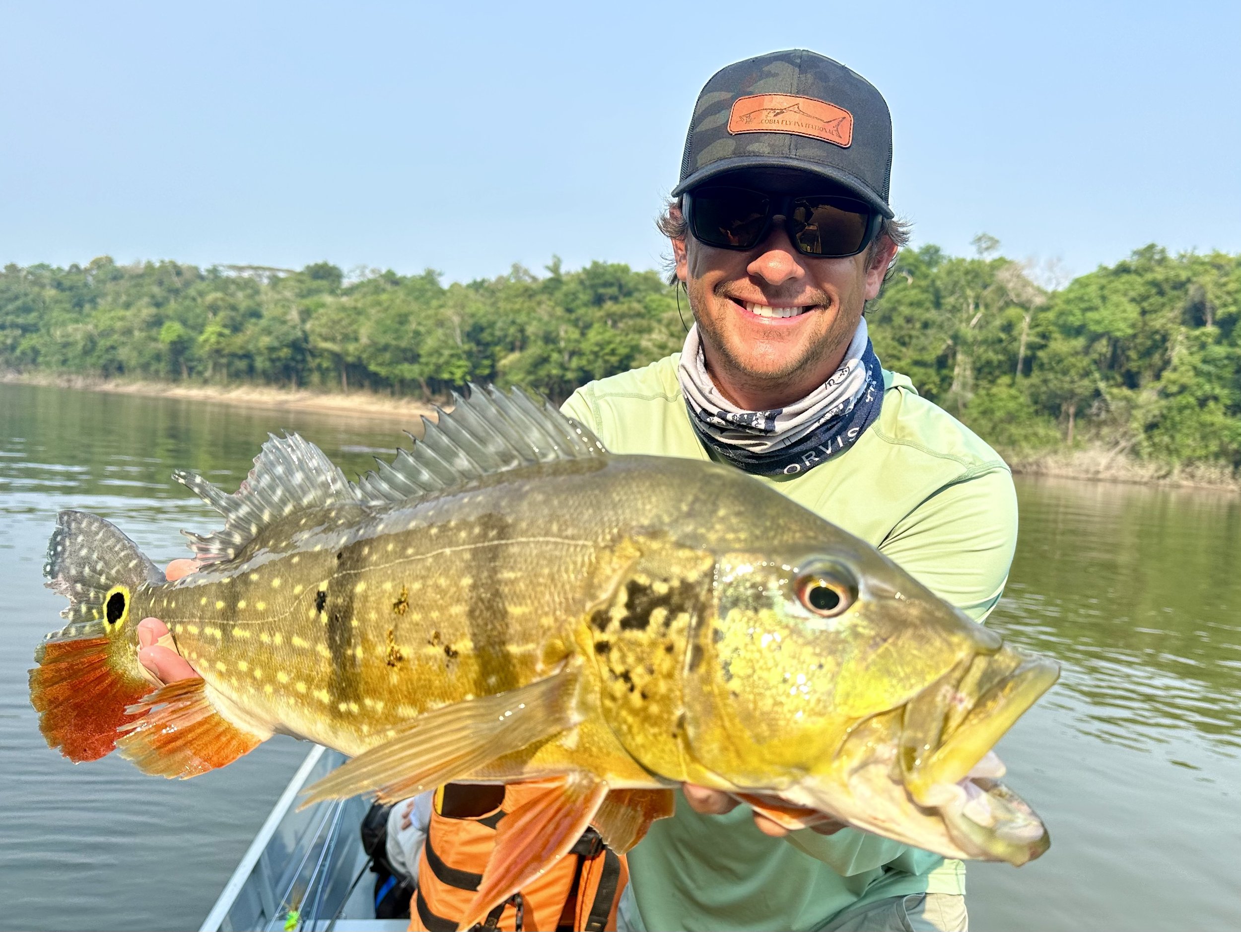 Amazon Brazil Peacock Bass