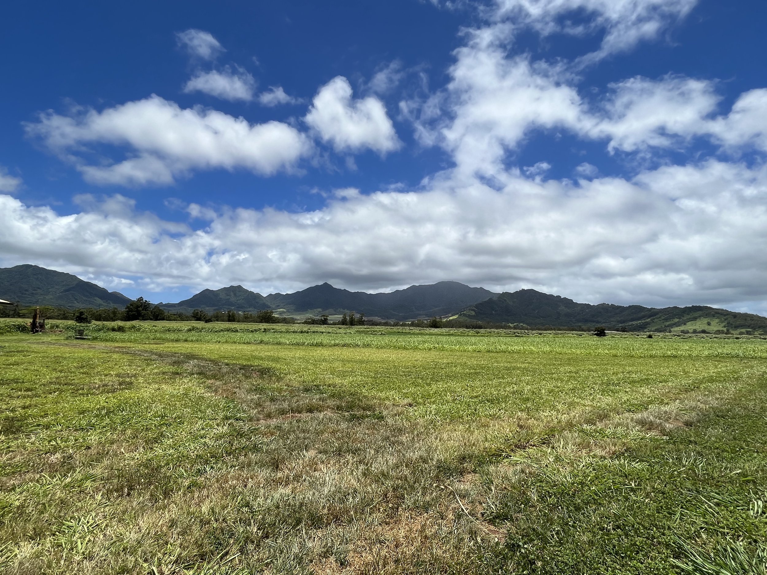 Patience: A Personal Journey