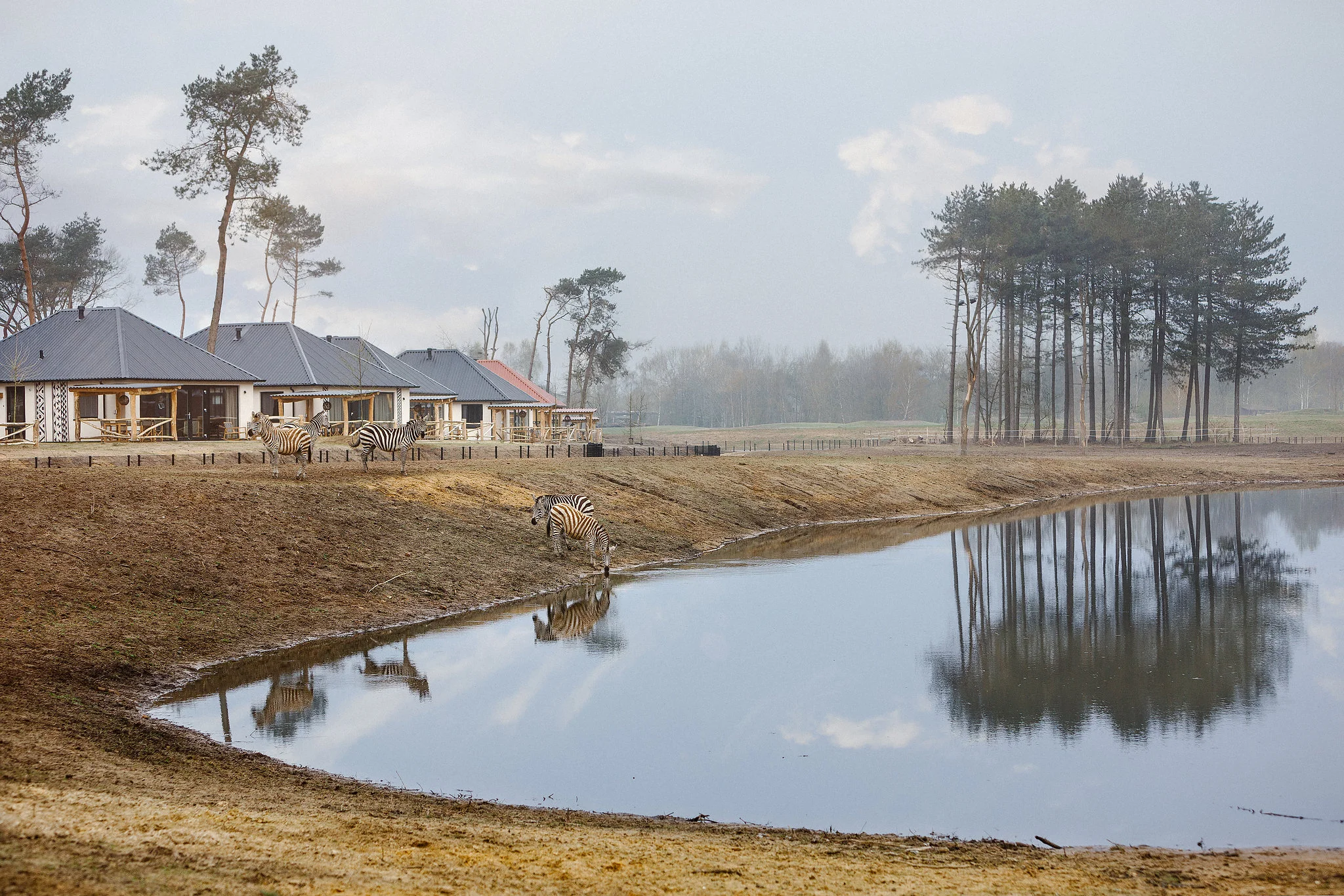 2018-04-14-Beekse-Bergen-Safari-Resort0256-bewerkt.jpg