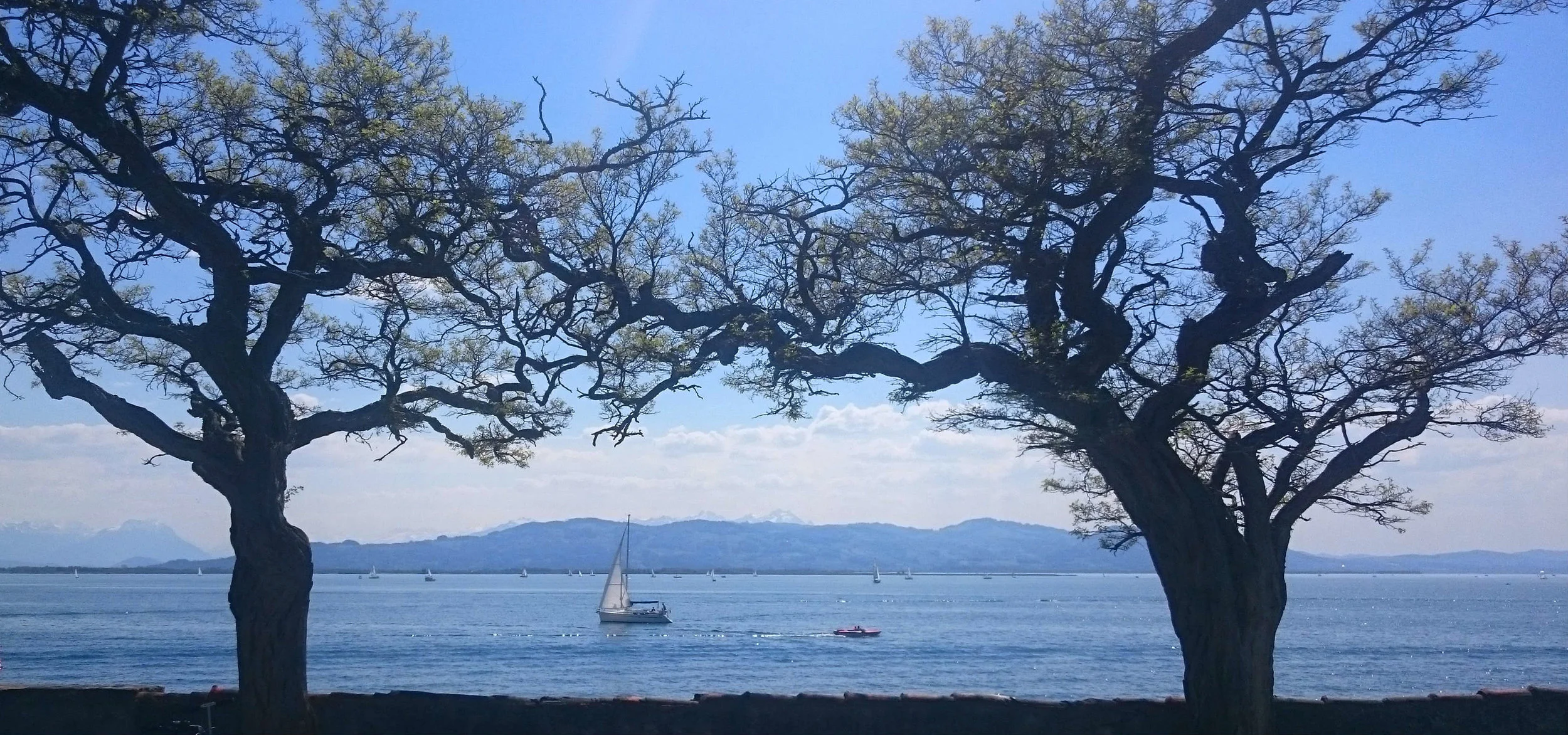 Bodensee small.jpg