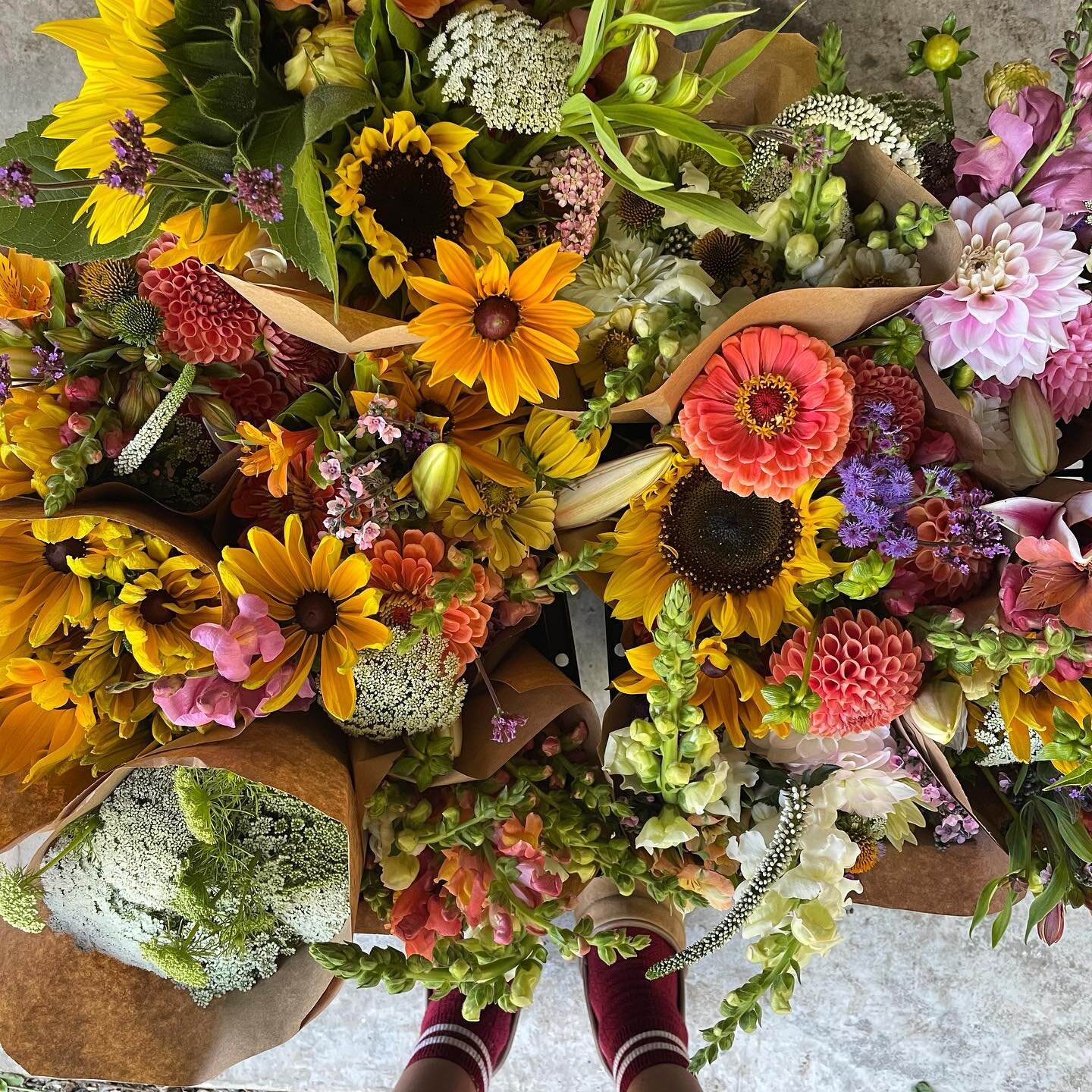 Back to business ⚡️🌸⚡️#spacelotus blooms coming at you this week at @lawrencestreetprovisions starting Wednesday. Grab your bouquet at the shop or swing by the market- Jules @spacetwinsprovisions will be there with all our blooms!
.
Things are real pretty here so you can expect snaps, dahlias^2, sunflowers, maybe some lilies??, Queen Anne&rsquo;s, zinnias and other fun stuff like Peruvian lily, ageratum, Veronica &amp;c ❤️