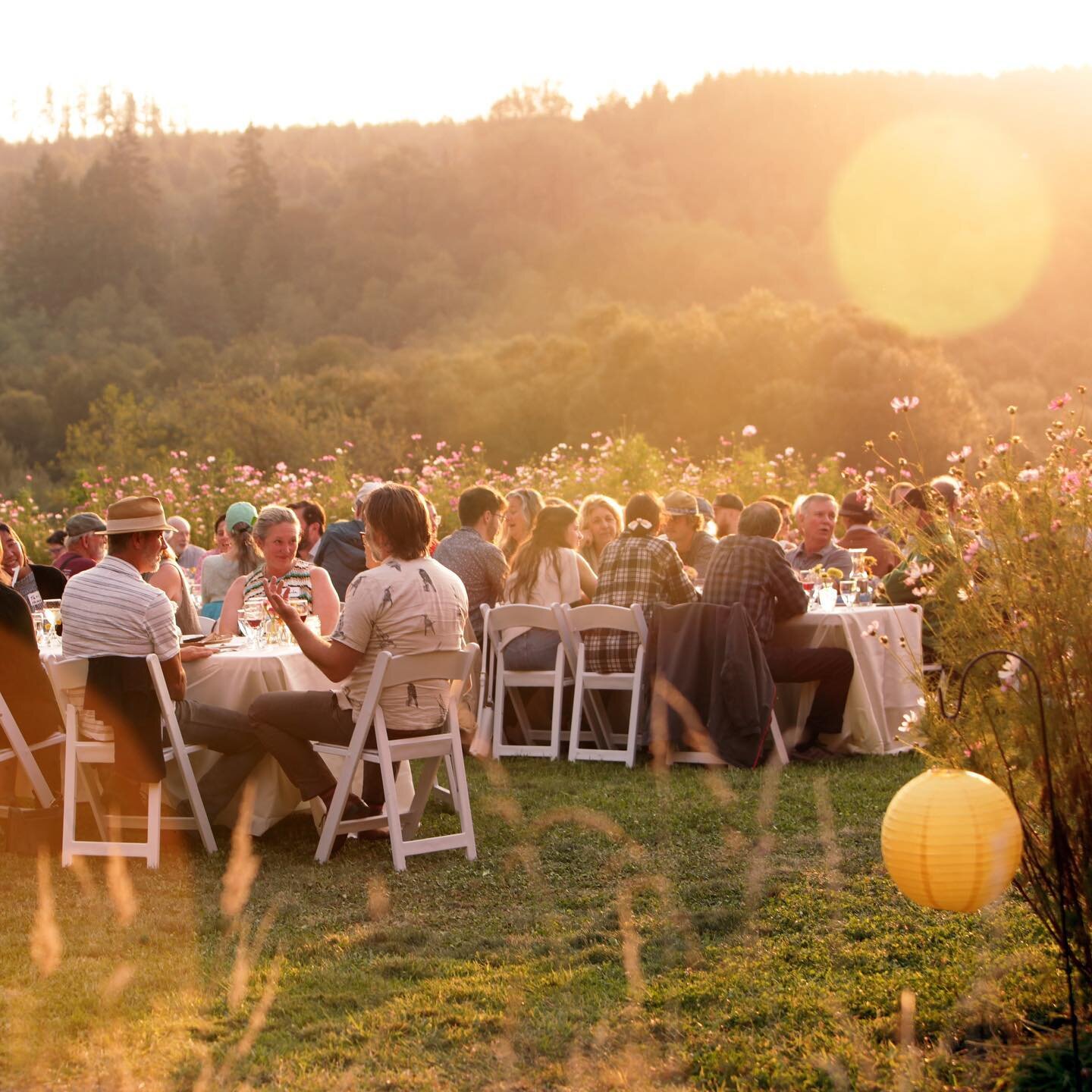 🌻 SAVE THE DATE 🌻 @jeffcofarmersmarkets farm to table benefit dinner is happening here at White Lotus on September 3rd!
.
This was a picture taken by @whaleheartproductionsllc last year and it was such a magical evening celebrating community, local