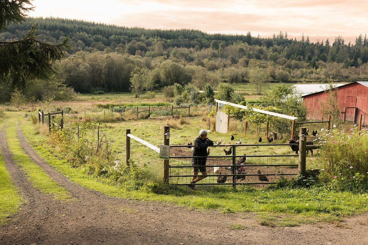 We are in the planning stages of incorporating a mobile chicken tractor and a new flock of 100 laying hens to finally transition our egg operation into our rotational grazing pasture management system 🐔🚜. 

By rotating our hens behind the sheep flo