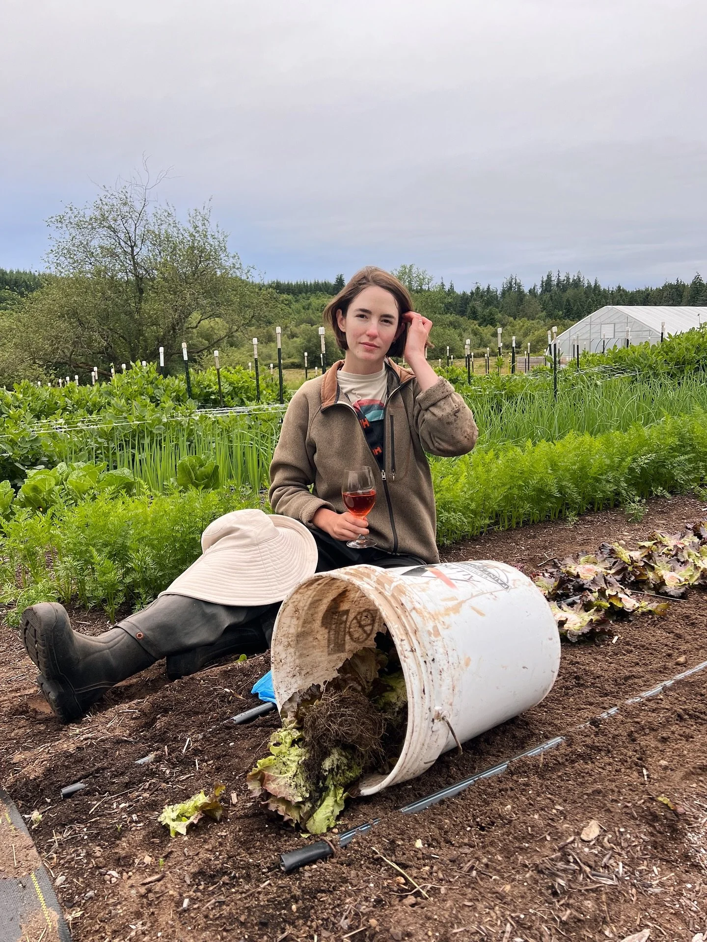 Recent scenes 🧚 ros&eacute; &amp; late night garden chats with Jules, the sheep gather round meadow for the latest farm gossip, loaf and sunset, first event of the season!, giant lily with 6 ft petals!, space twins veg beds and cuts in the pleasure 