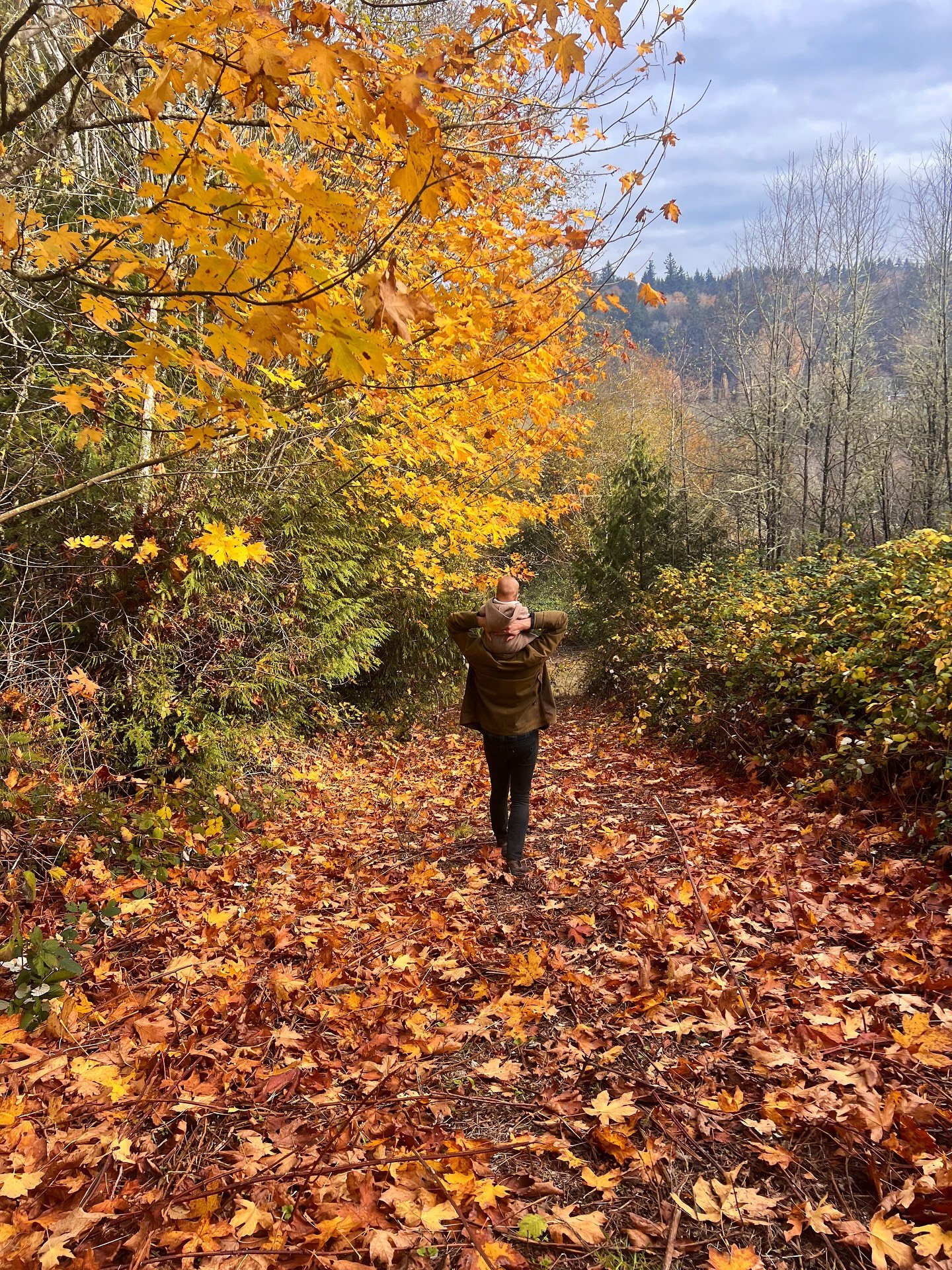 catching leaves while walking the creek loop trail on repeat, saying hi to the babas + tux the llama, cozy candlelight vibes and sweet friends, uncle b and uncle caca, sorting apples with space twins, dahlias dug! And you can just make out the 30 gal
