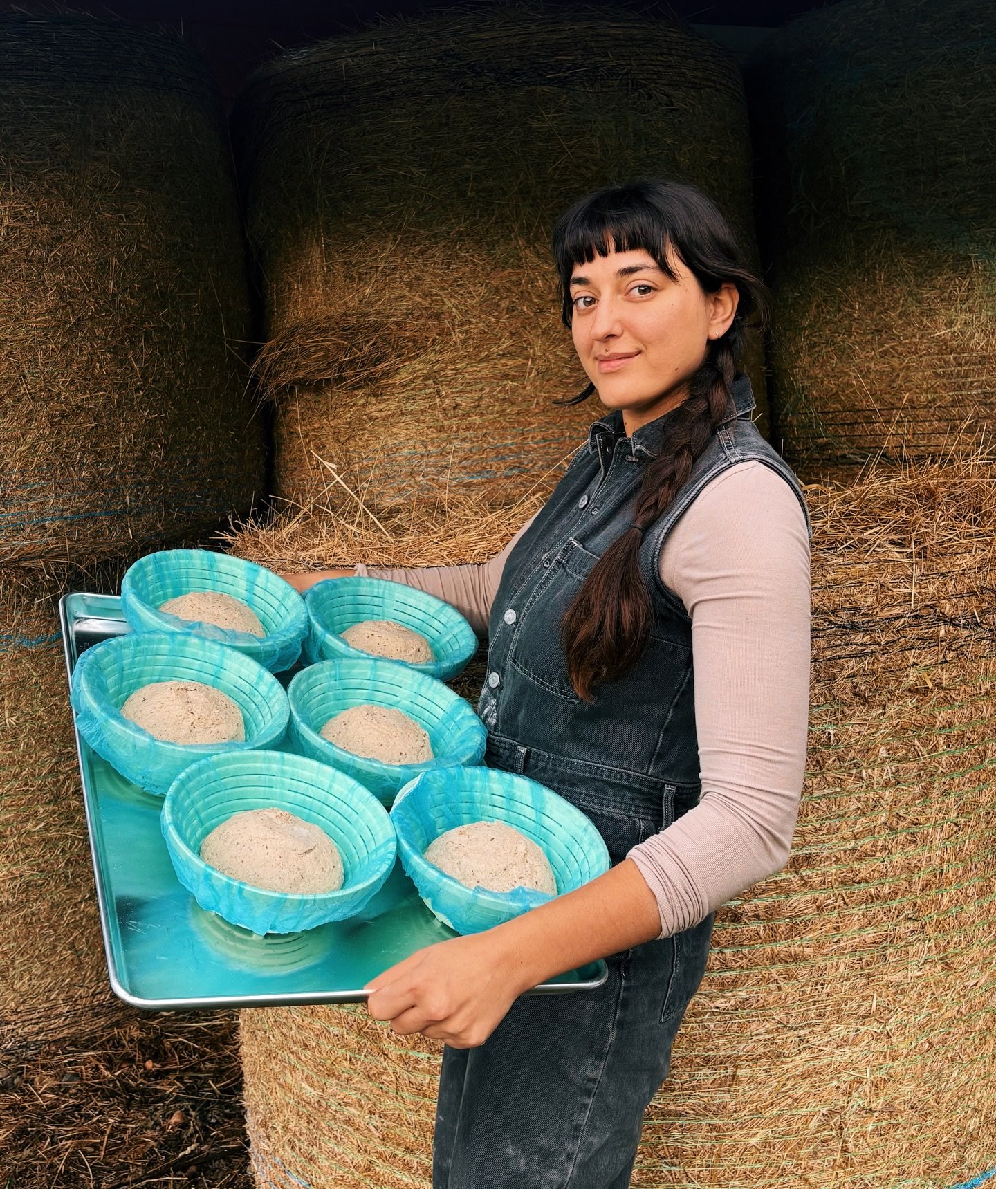 Holiday loaves are rolling out today ✨
Deliveries headed out now, with stacked shelves at @ptfoodcoop and @chimacumcorner, plus a special drop at @reddogfarmchimacum 🧡

Couldn&rsquo;t have pulled off the double bake without Yasmin 👩🏻&zwj;🍳