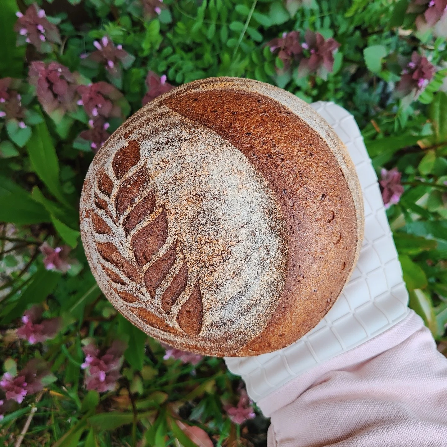 Our farm sourdough 🤍

You can find our loaves locally at:

&ndash; Chimacum Corner Farmstand
&ndash; Port Townsend Food Co-op
&ndash; Red Dog Farmstand
&ndash; And now (just added) Aldrich&rsquo;s in PT

We bake in small batches each week, slow-ferm