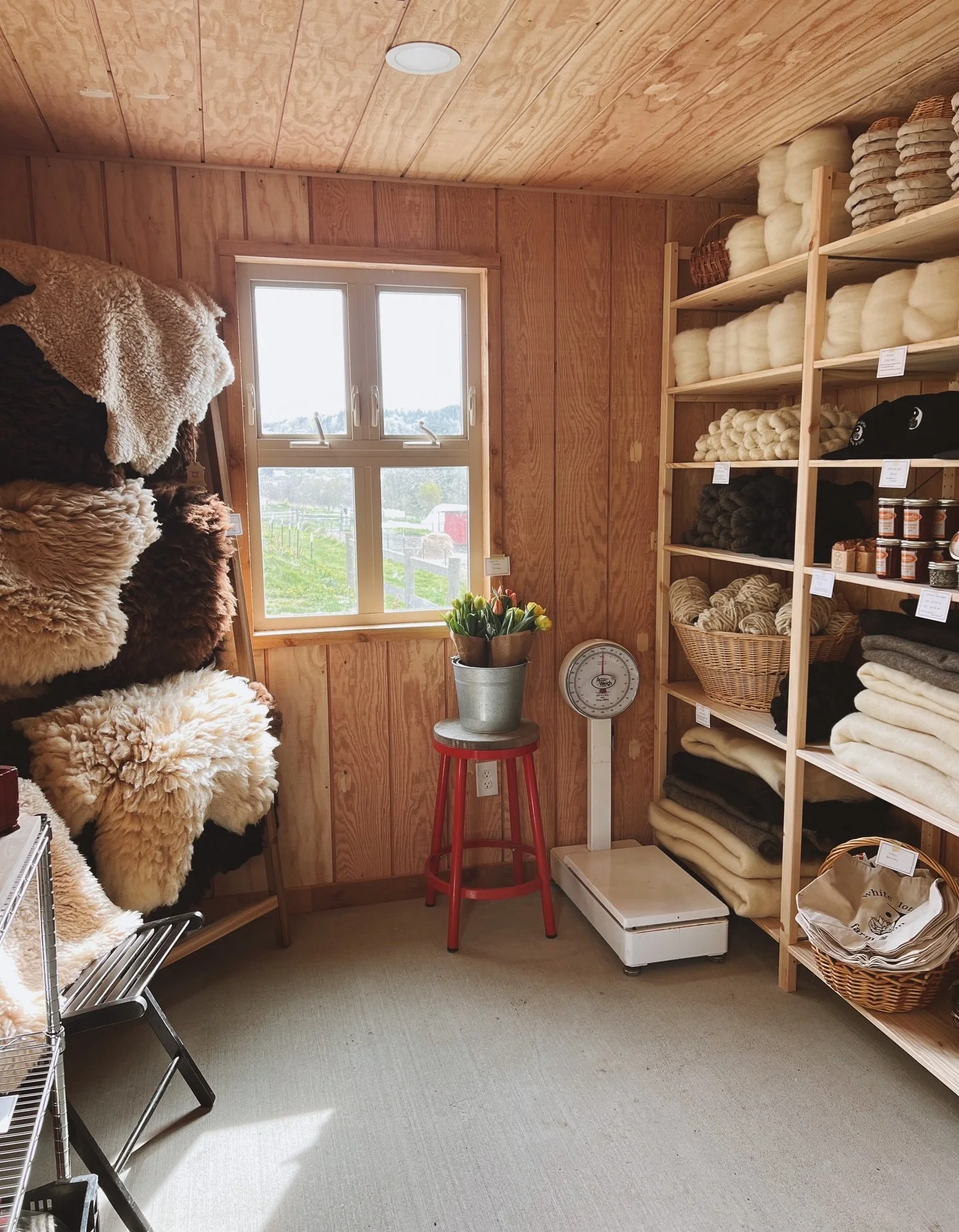 yesterday a huge load of yarn arrived from rabbit hill mill and suddenly the little farm store feels very full. shelves stacked with 3 ply sport yarn in cream, brown and grey. fresh felt mats too.. useful for needle felting, toys, clothing, patches, 