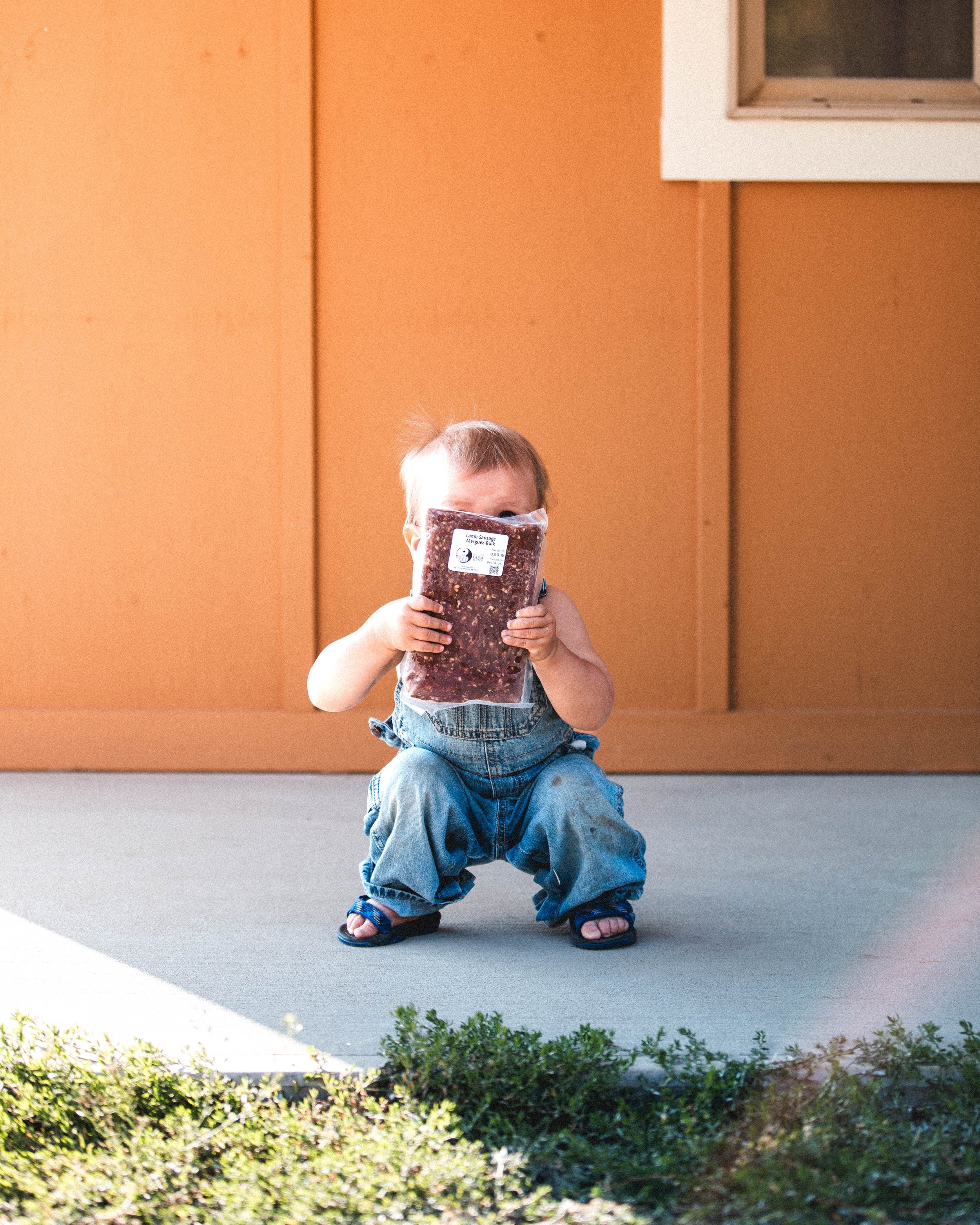 20260818_WhiteLotus_015.jpg