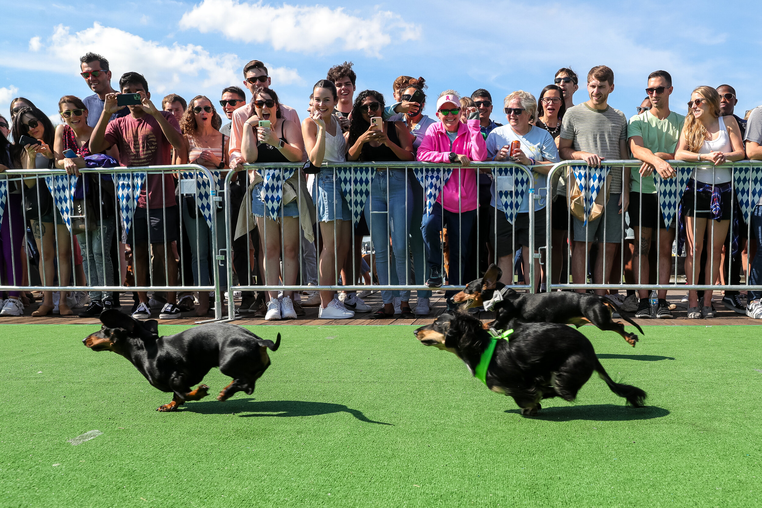  Spectators take in the Wiener 500 Dachshund Dash during Oktoberfest at The Wharf on Saturday, Oct. 2, 2021.  