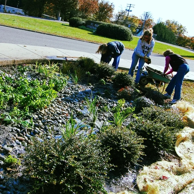 Rain gardens are an example of green infrastructure that filters polluted runoff and removes pollution before the water reaches streams.