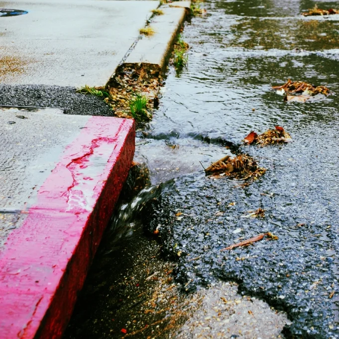 Polluted runoff drains off our streets and directly into streams.