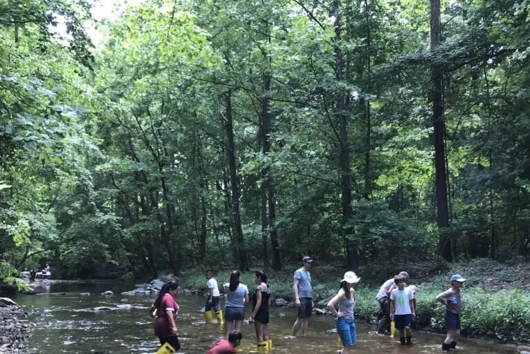 Stormwater Partners Network testifies to improve forest conservation in Montgomery County