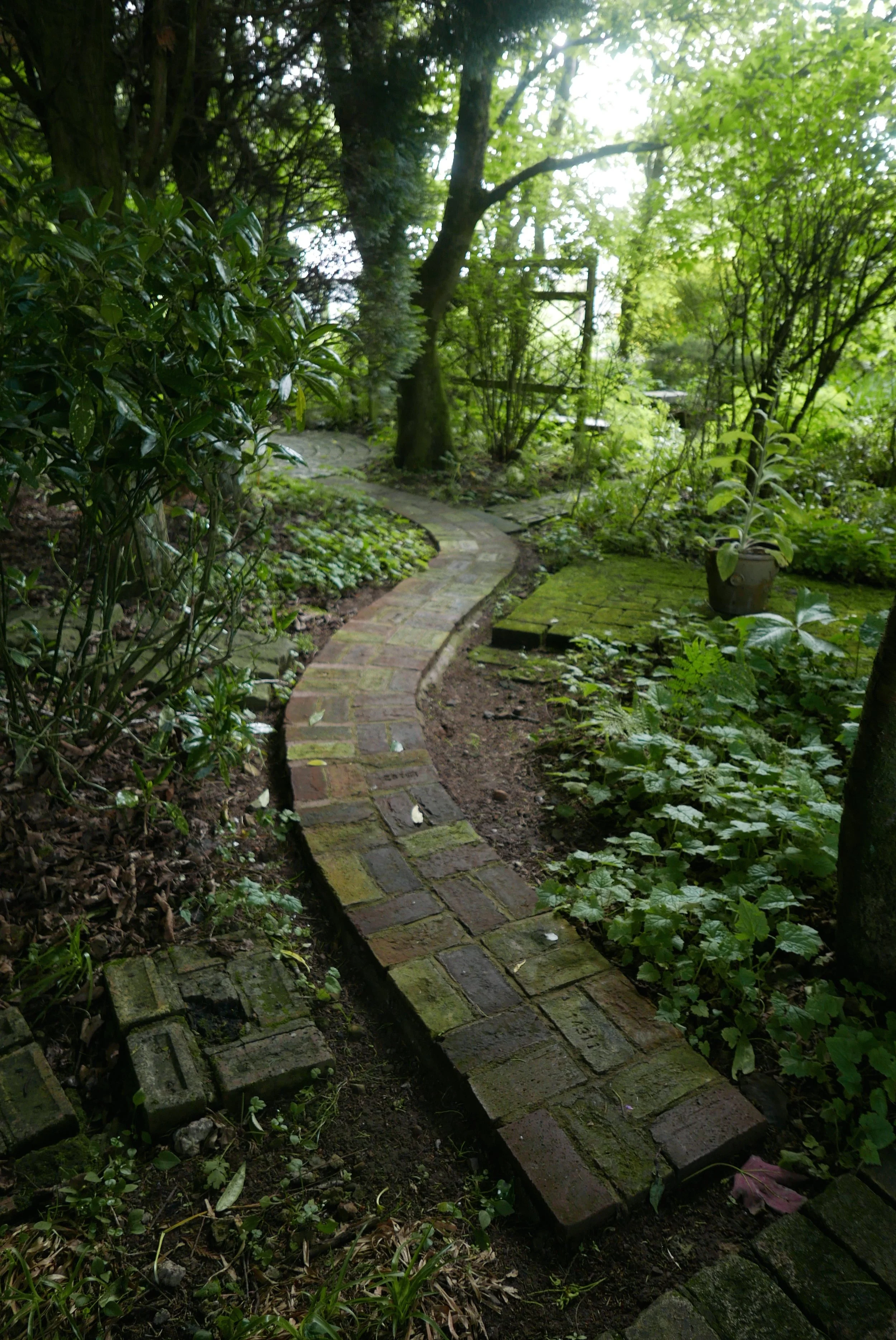 L1080792.jpg