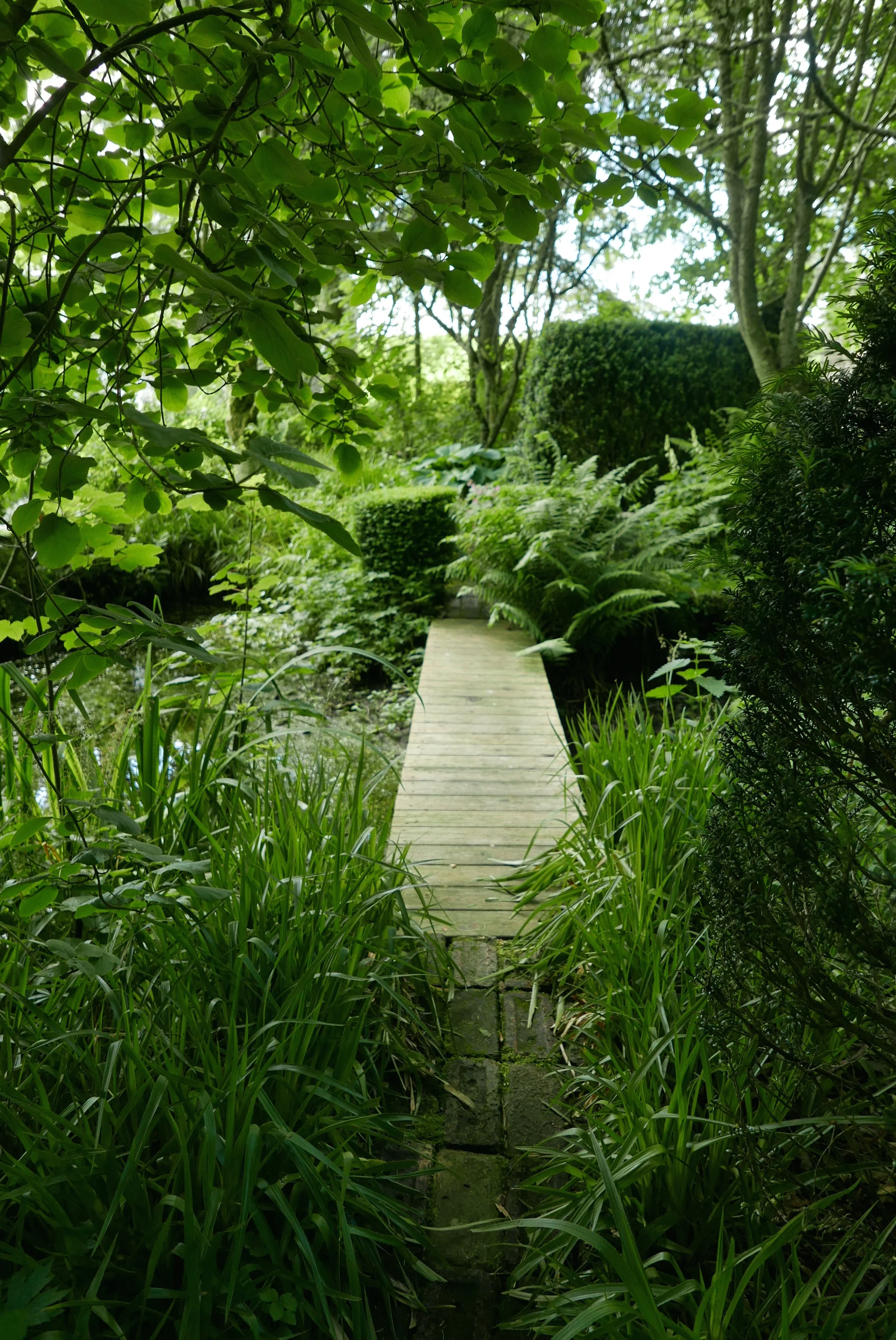 L1080797.jpg