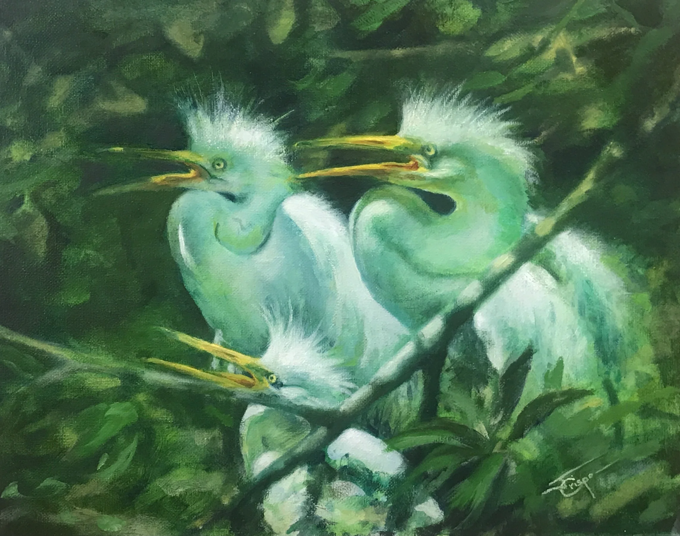 BIRDS-3 EGRETs.JPG