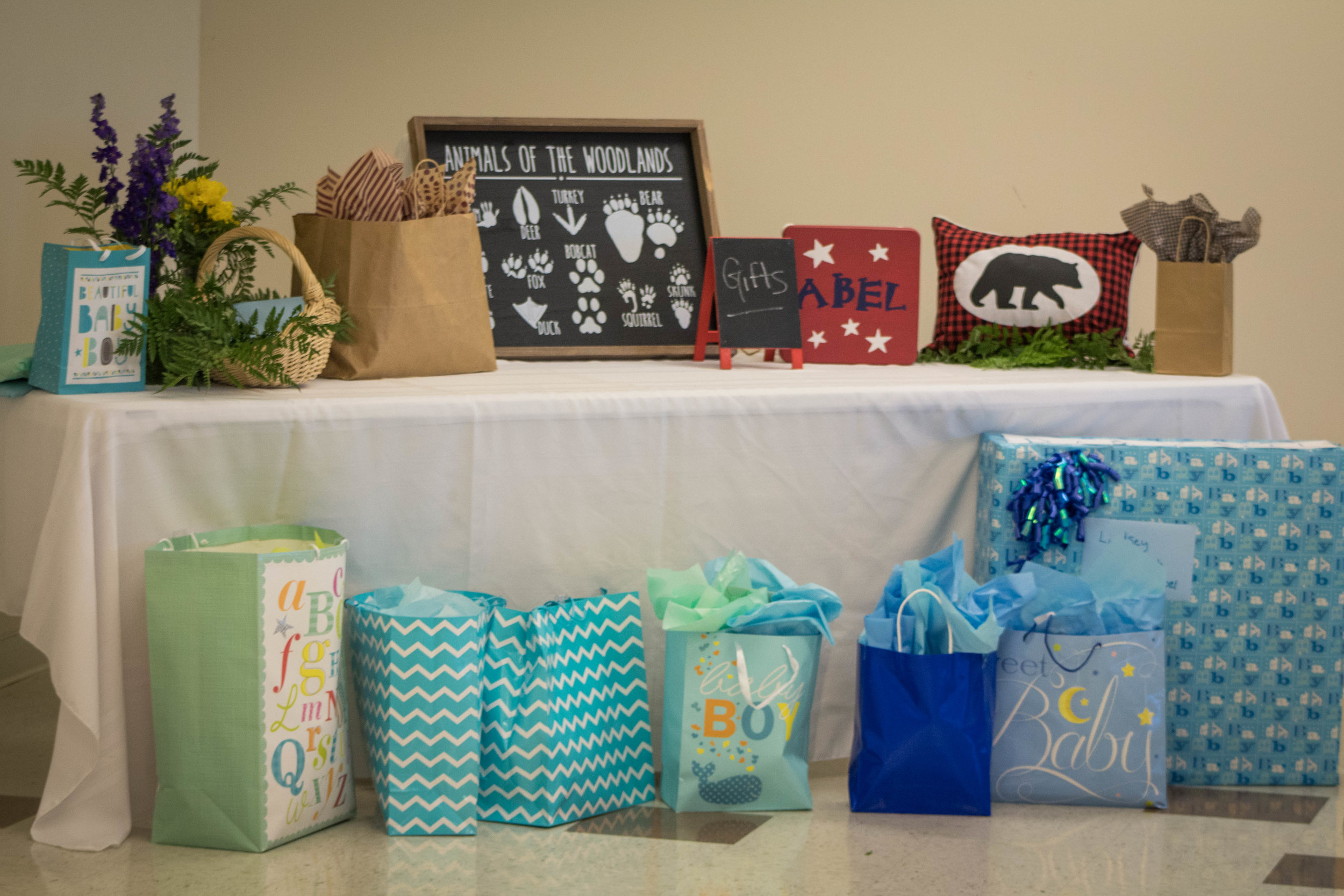 Newsom Baby Shower 1.jpg