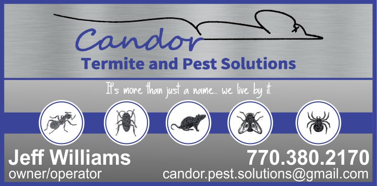 6 Candor Termite & Pest Solutions 2019.jpg