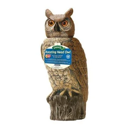 rotating-head-owl.jpg