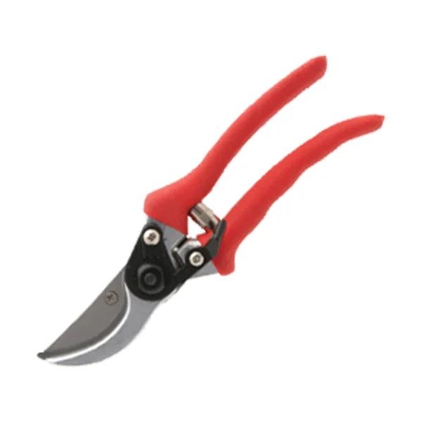 product-5.jpg