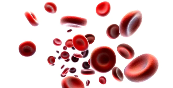 blood-type.jpg