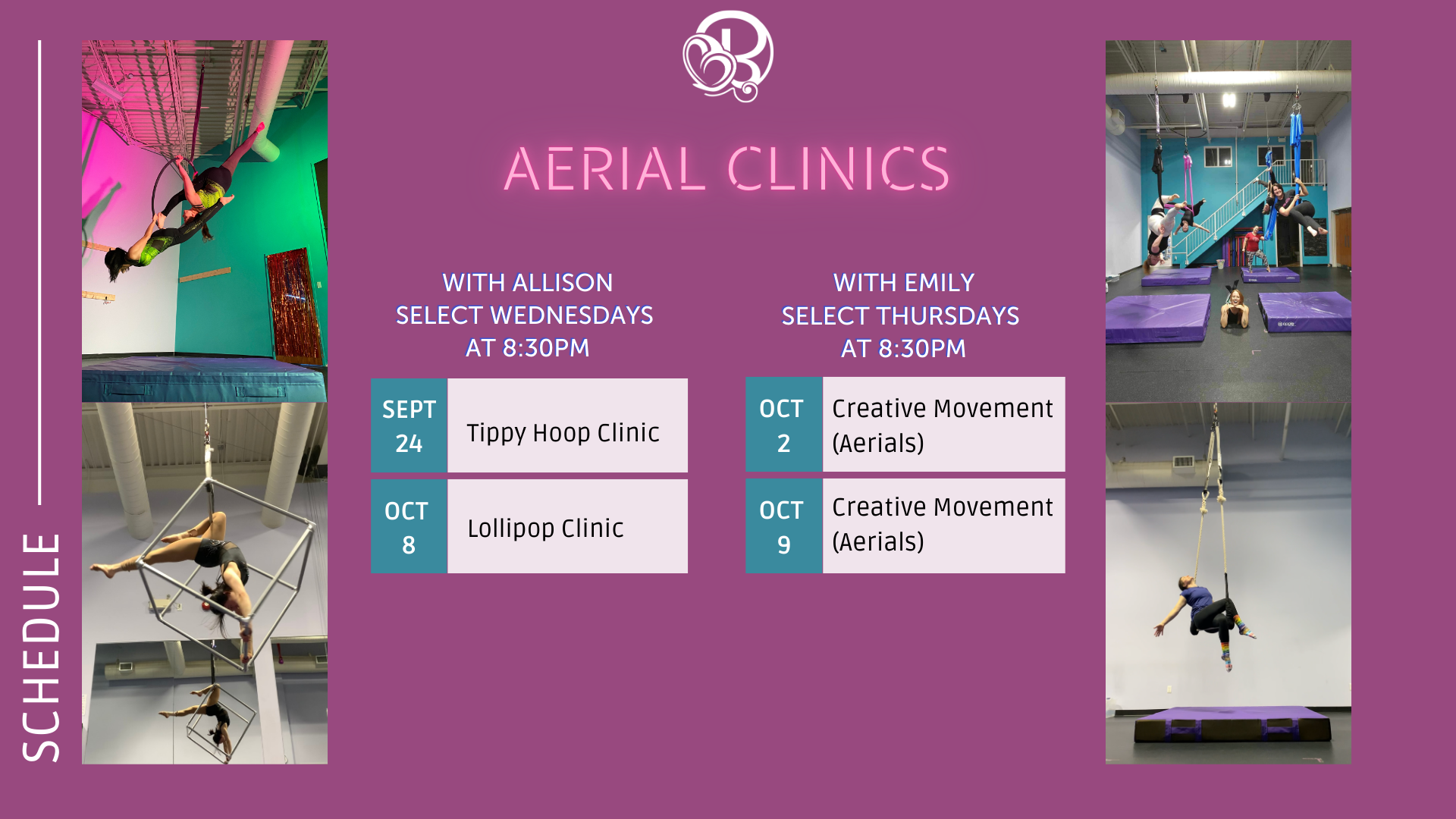 Aerial Clinics