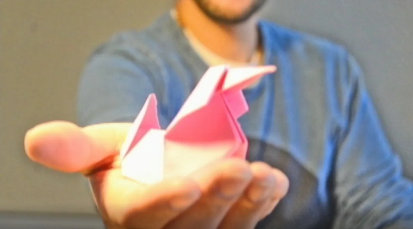 Pink Duck portada.jpg