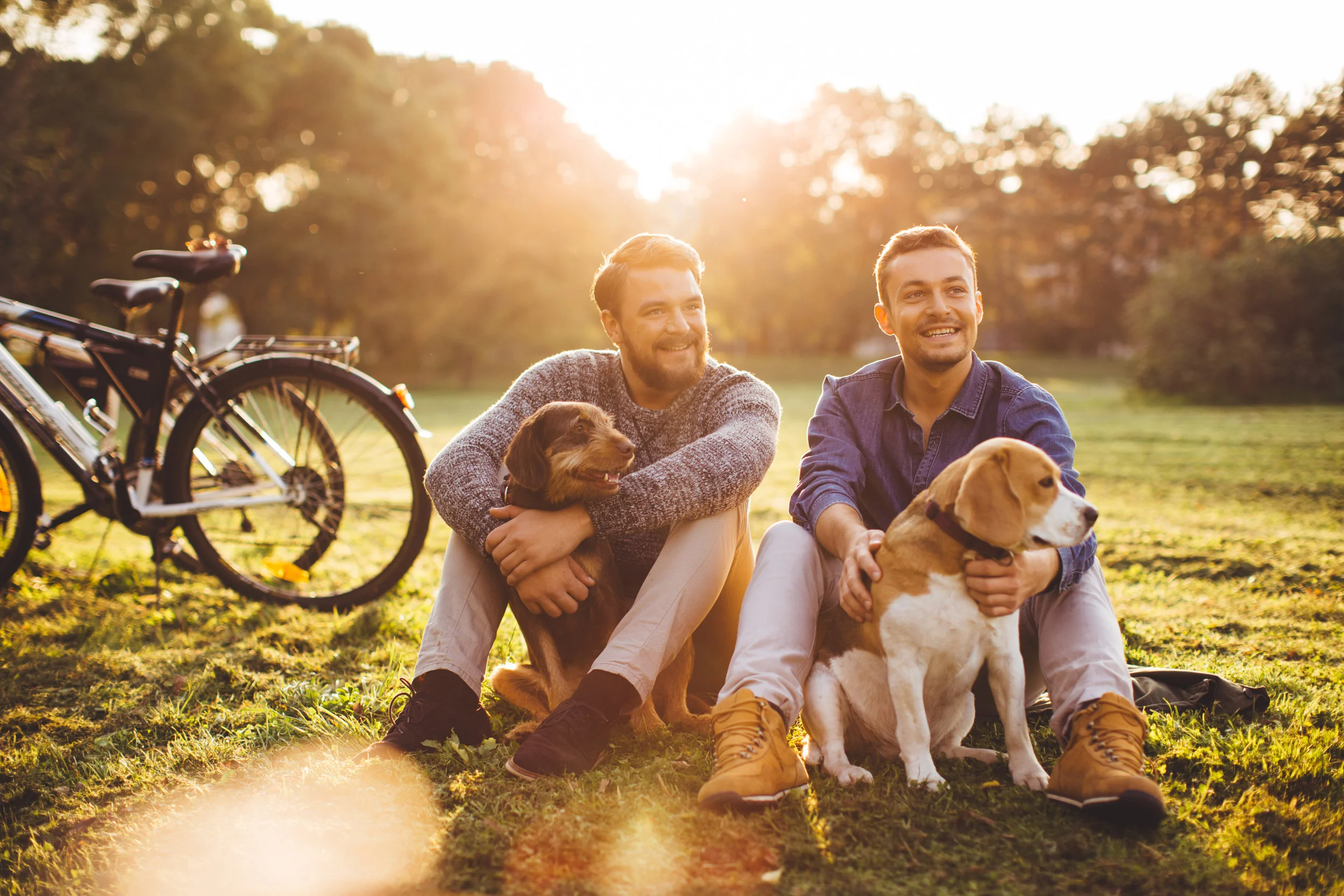 iStock-496613730.jpg