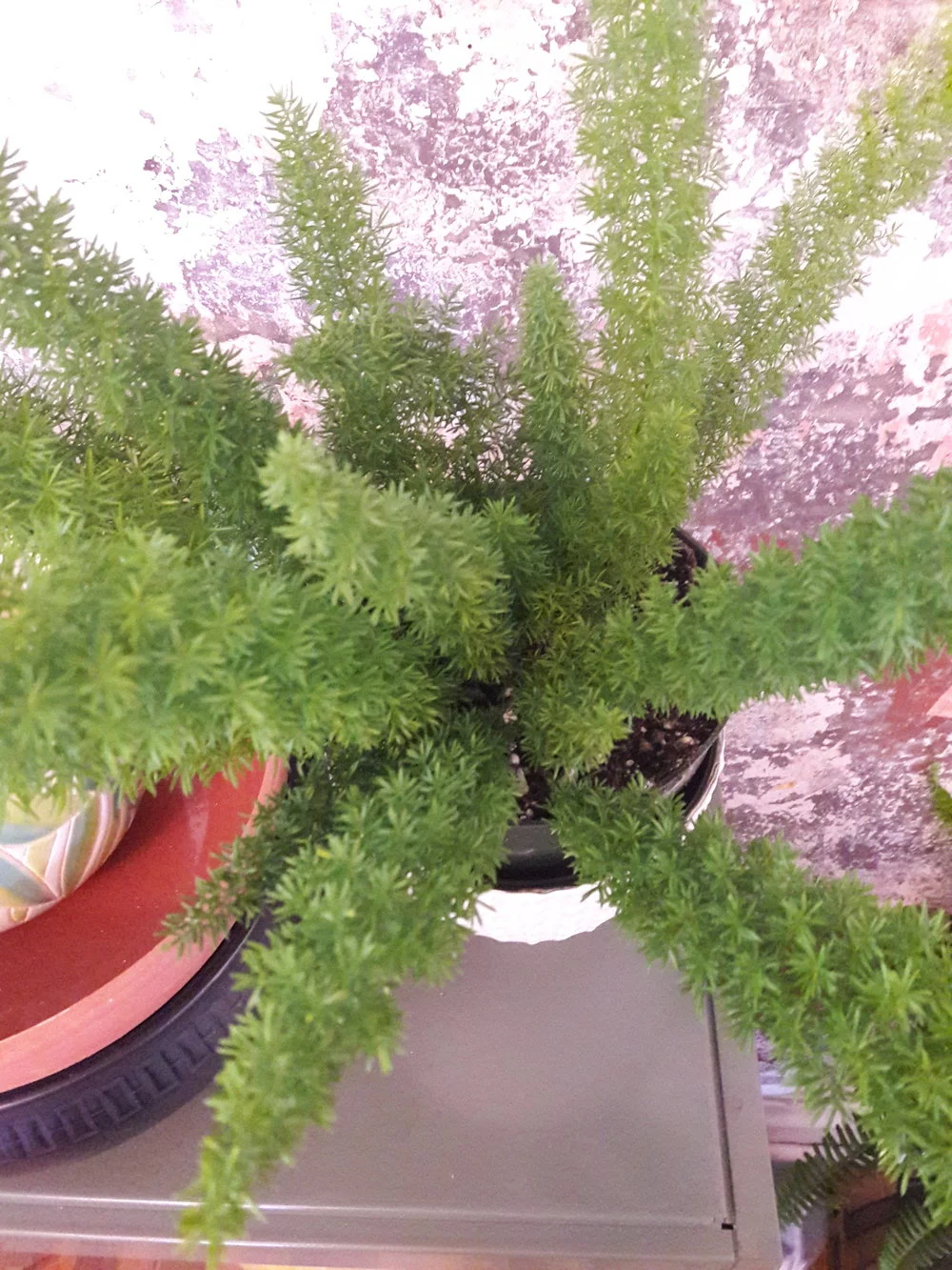 20180828_104519.jpg