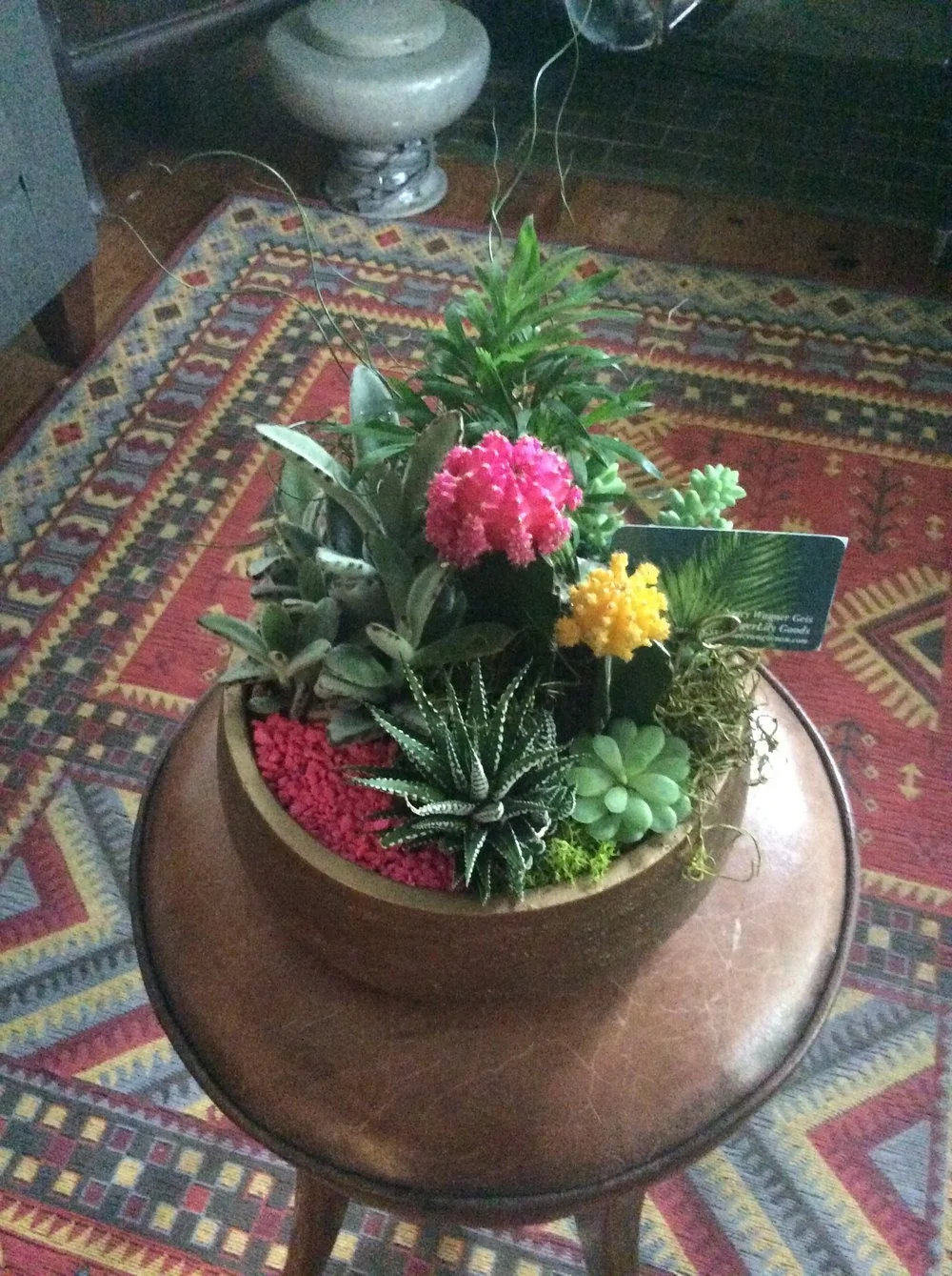 Custom Succulent Planters — Tigerlily Goods