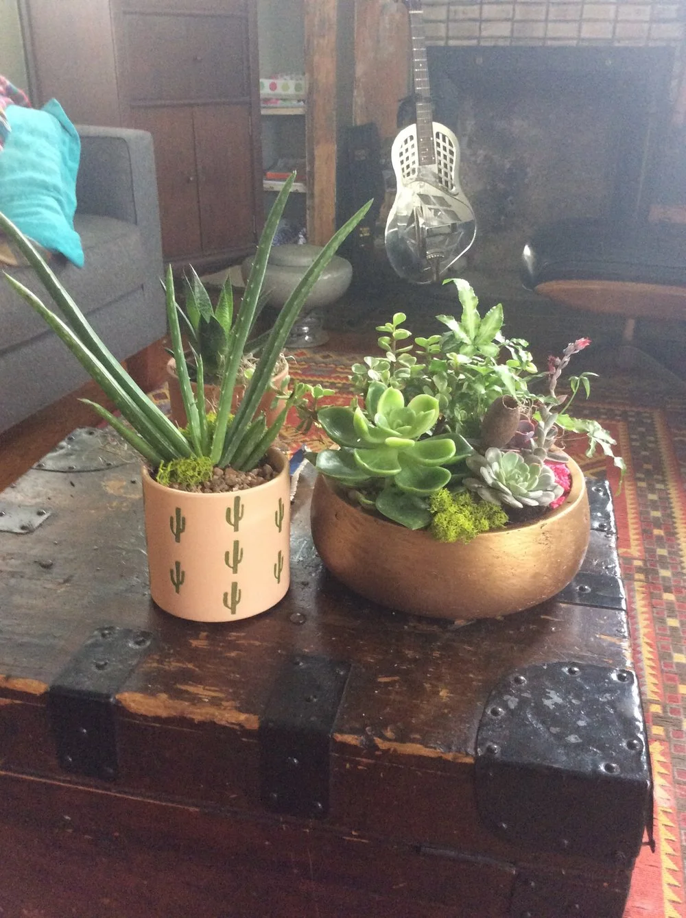 Custom Succulent Planters — Tigerlily Goods