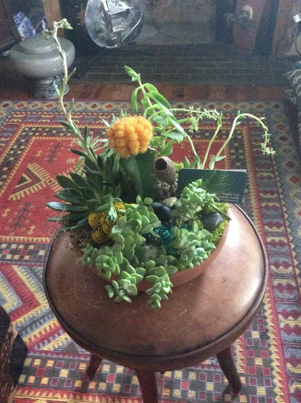 Custom Succulent Planters — Tigerlily Goods