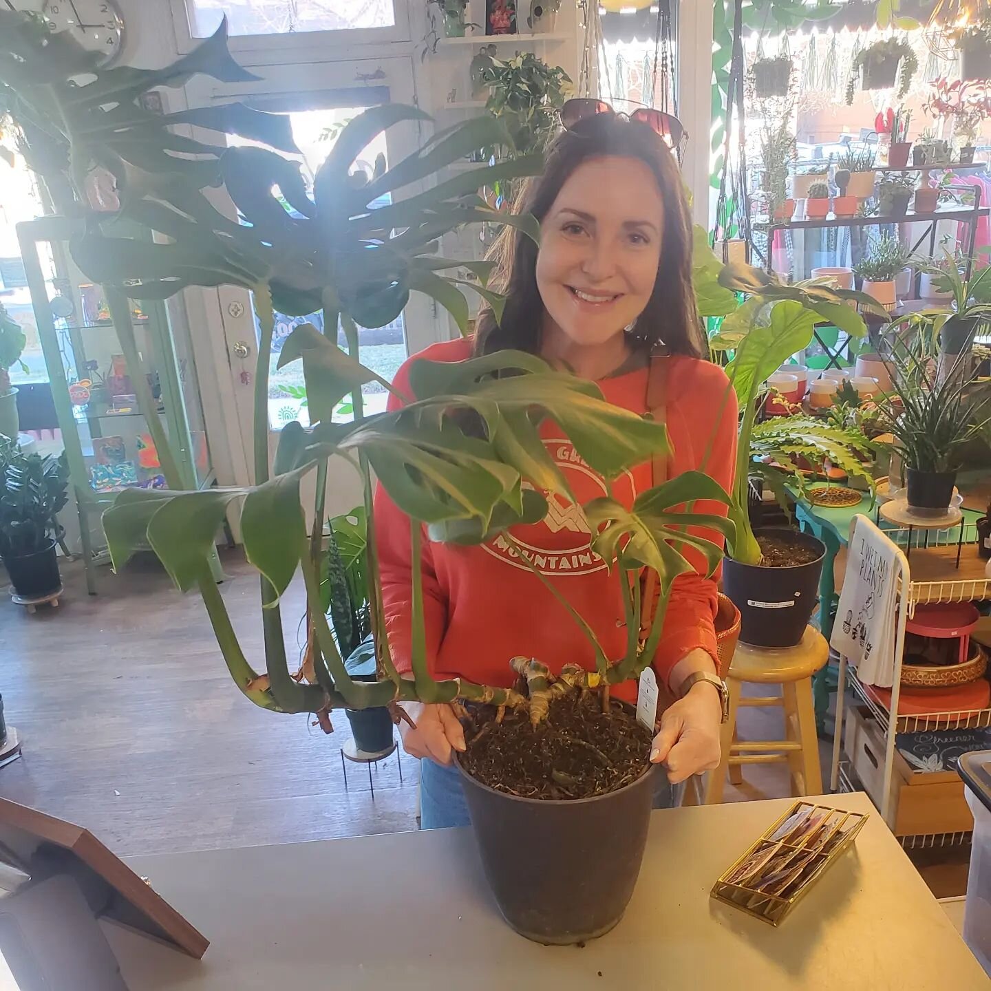 What a better way to celebrate springing forward than filling your home with some magnificent new foliage? Emily snagged this stunning monstera (just check out the elbows on that babe!💚) and it's totally going to transform that empty corner in her l