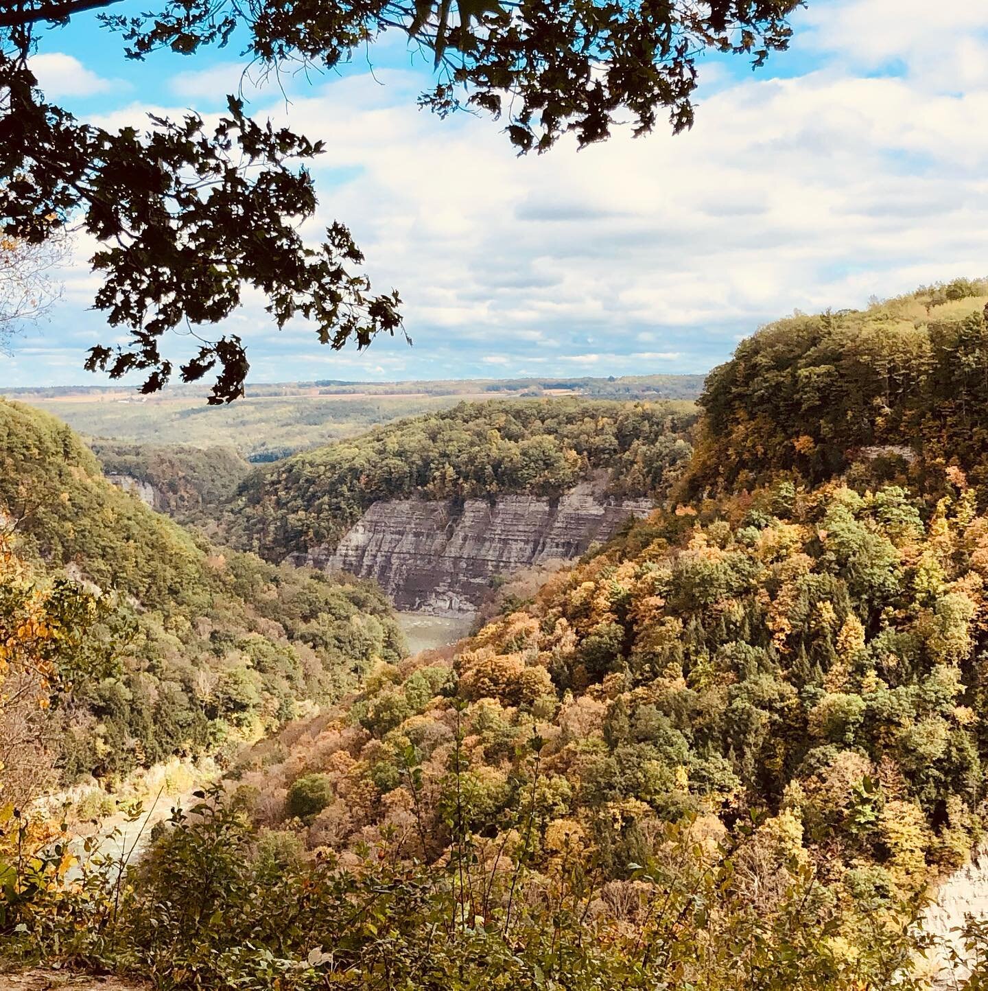 No matter how many times we visit, we are always in awe of our neighbor to the east. It&rsquo;s a must every season. #letchworthstatepark