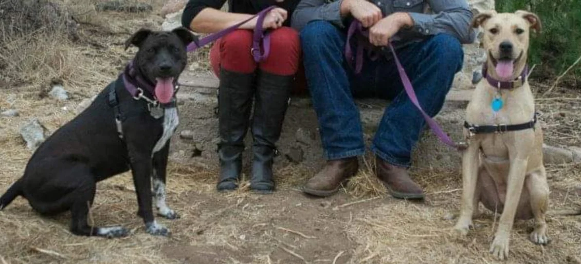 Oakley and Zeppelin.jpg