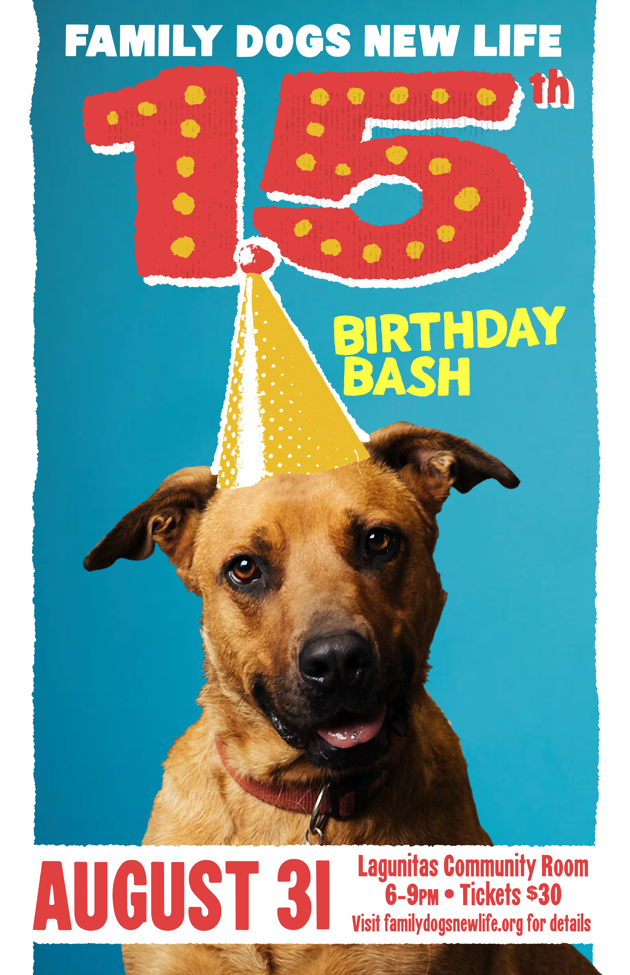 Get Ready To Party Family Dogs New Life Shelter Get Ready To Party Family Dogs New Life Shelter