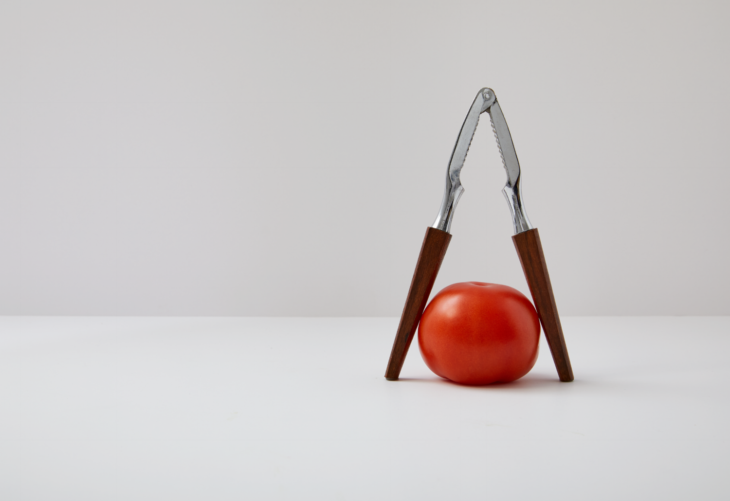 tomato_cracker_013_resized.png