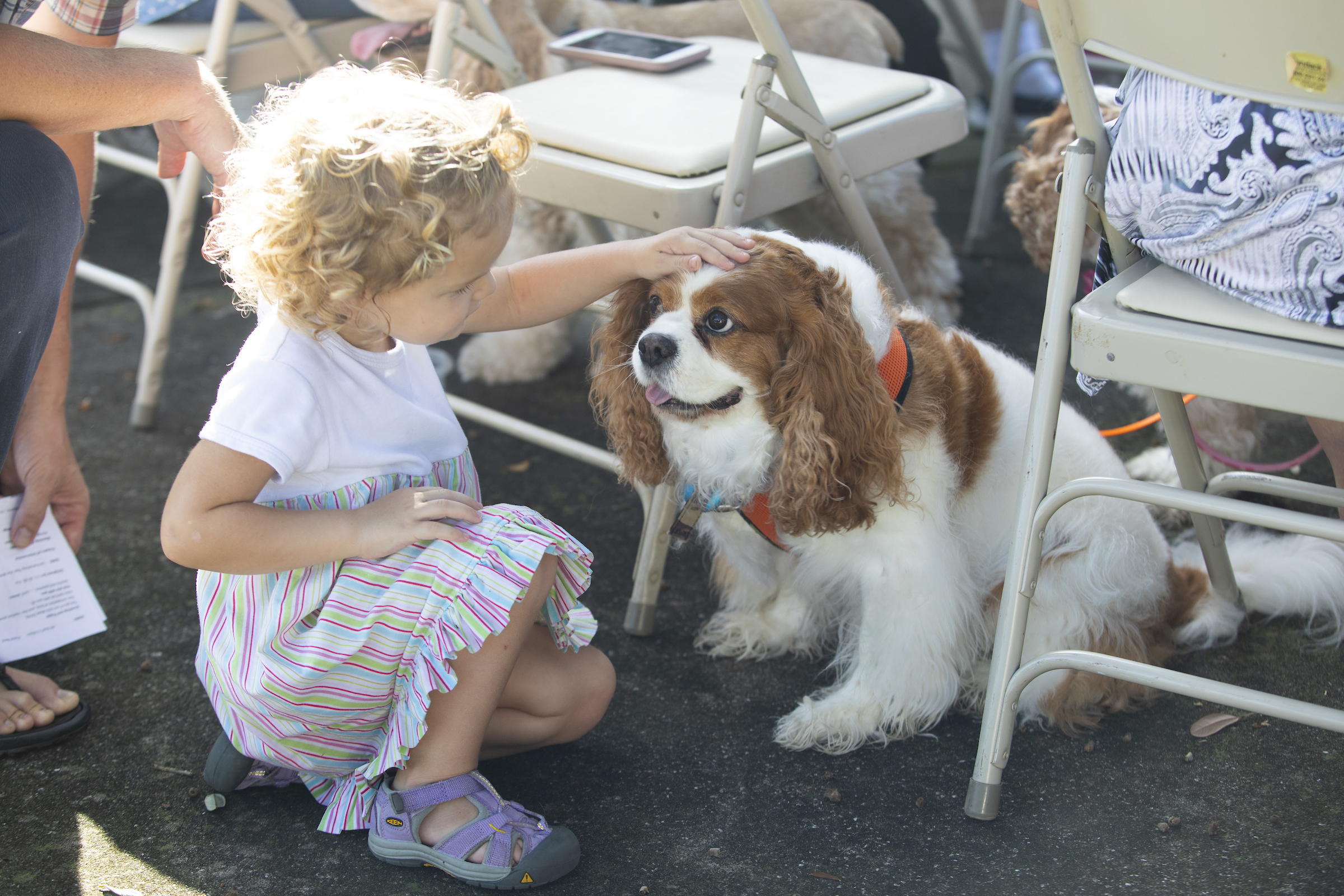 Blessing of the Animals