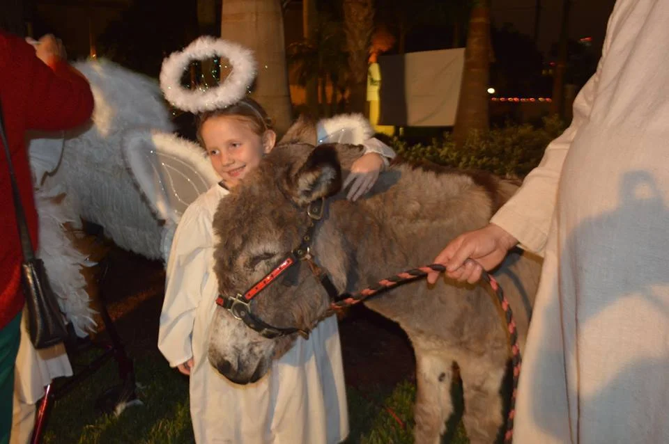 Live Nativity