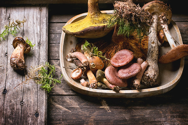 Three-Leaf-Farm-mushroom-Farm-dinner.jpg