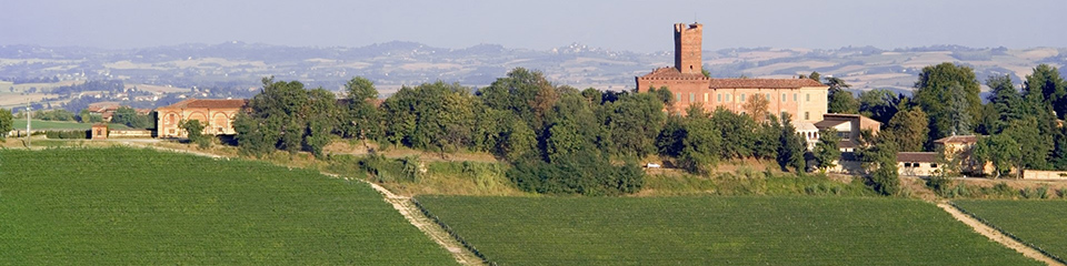 Castello di Uviglie WINERY.jpg